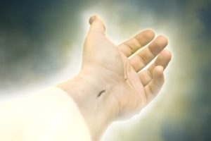 Una Oferta Que No Pude Rechazar – Carta Abierta A Mis Amigos