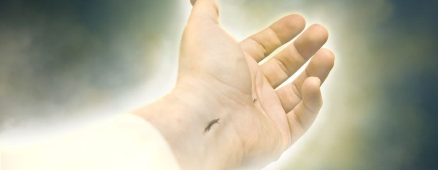 Una Oferta Que No Pude Rechazar – Carta Abierta A Mis Amigos